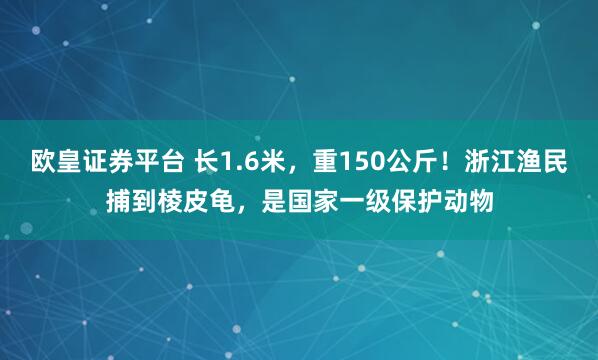 欧皇证券平台 长1.6米，重150公斤！浙江渔民捕到棱皮龟，是国家一级保护动物