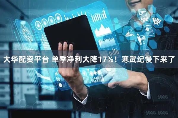 大华配资平台 单季净利大降17%！寒武纪慢下来了