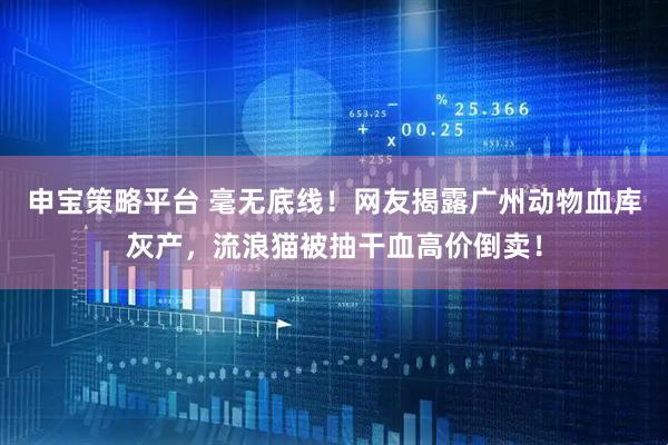 申宝策略平台 毫无底线！网友揭露广州动物血库灰产，流浪猫被抽干血高价倒卖！