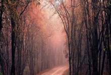 网上配资网:中国股票杠杆-8月LPR保持不变：1年期3.0% 5年期以上3.5%